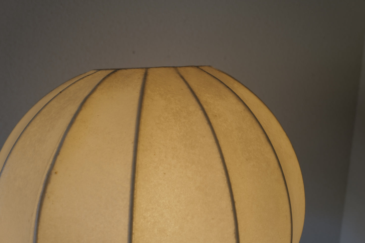 Cocoon floor lamp &  pendant lamp 1960s