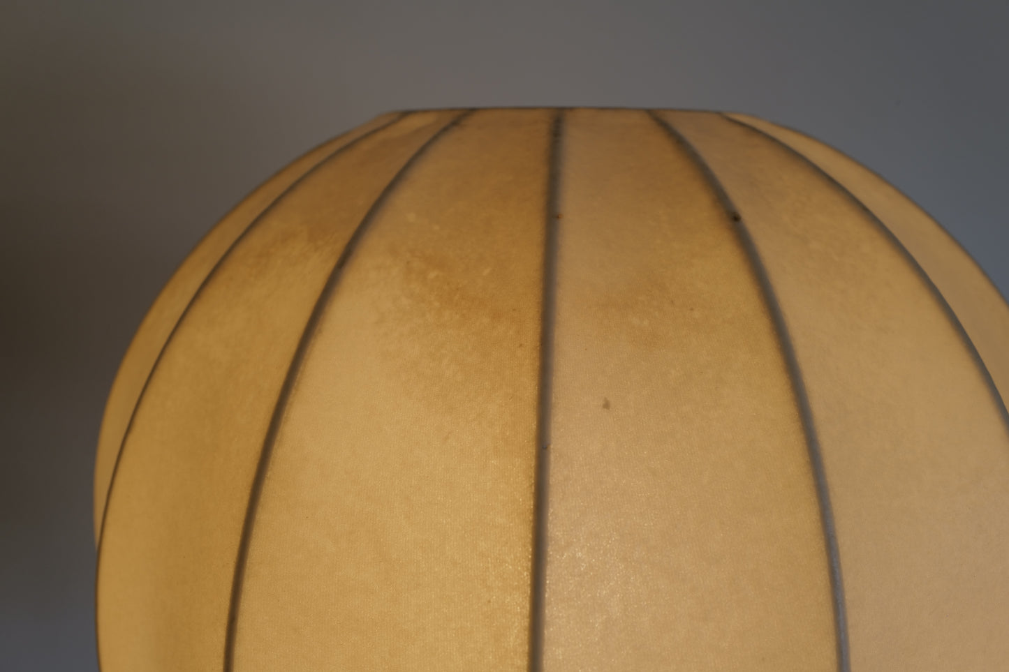 Cocoon floor lamp &  pendant lamp 1960s