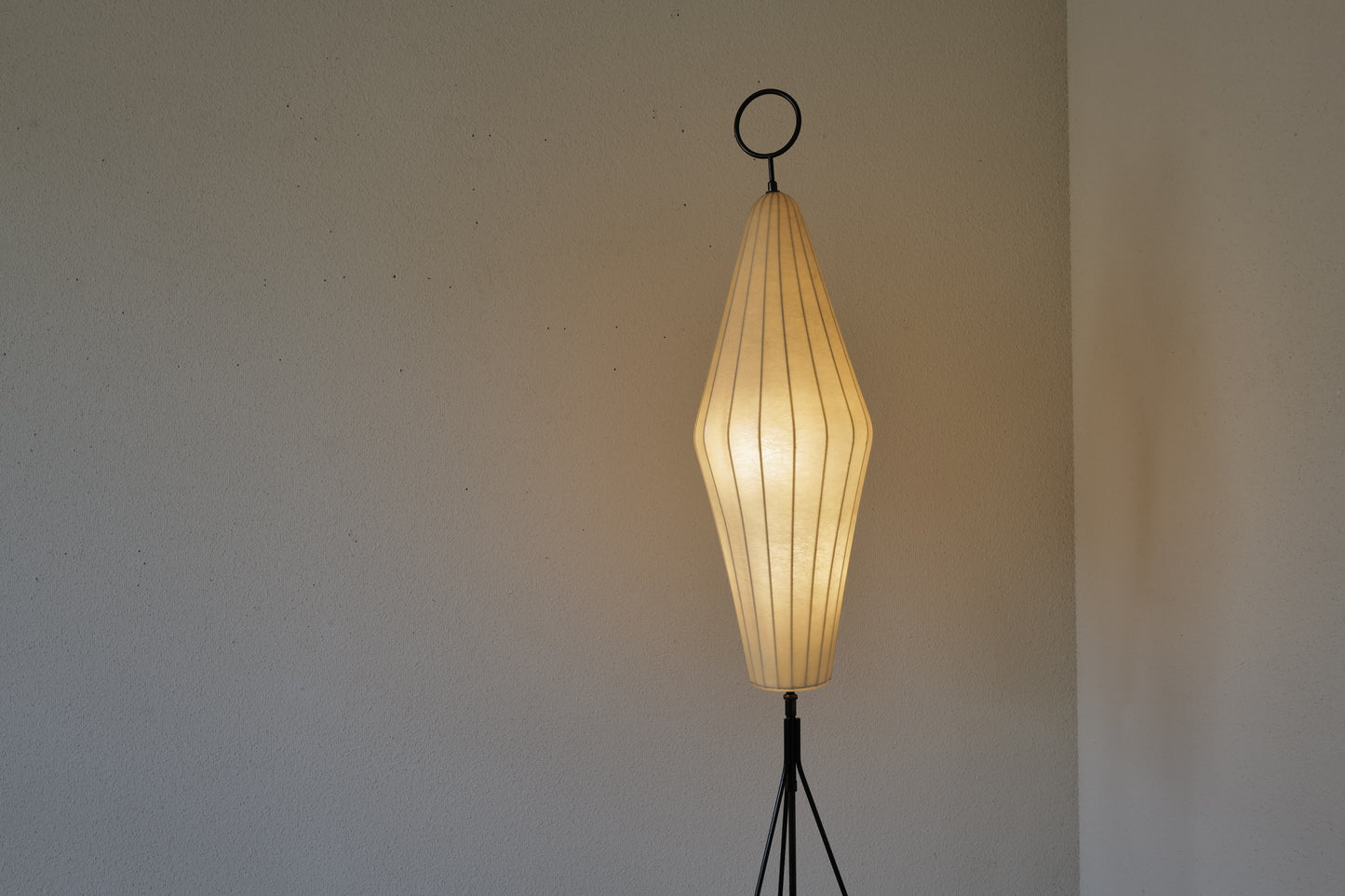 1960s cocoon floor lamp