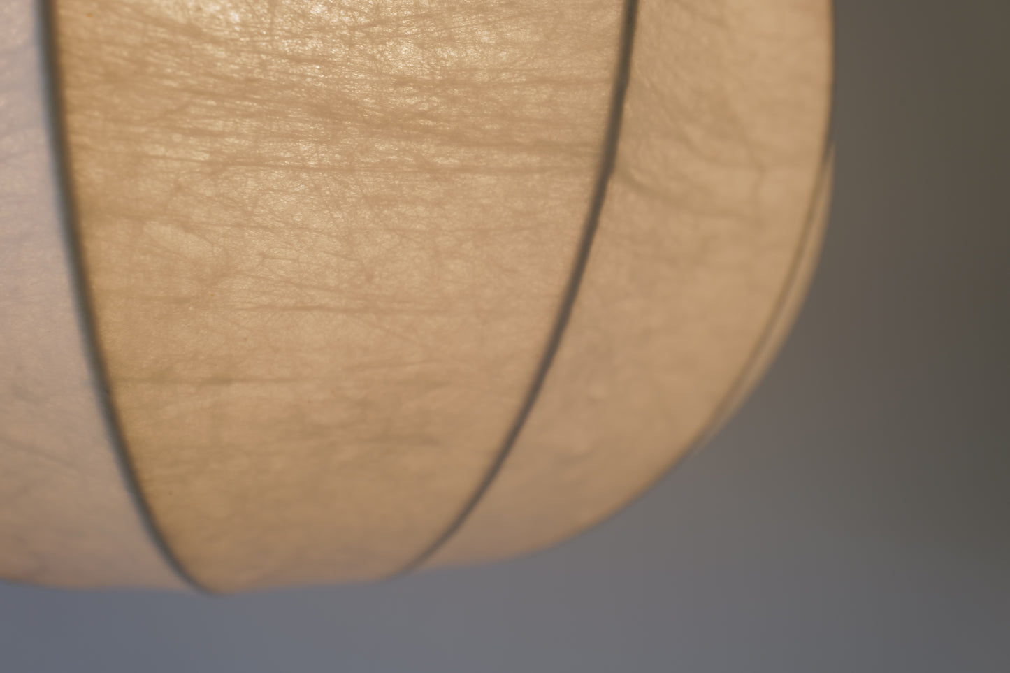 1960s cocoon pendant lamp. by goldkant