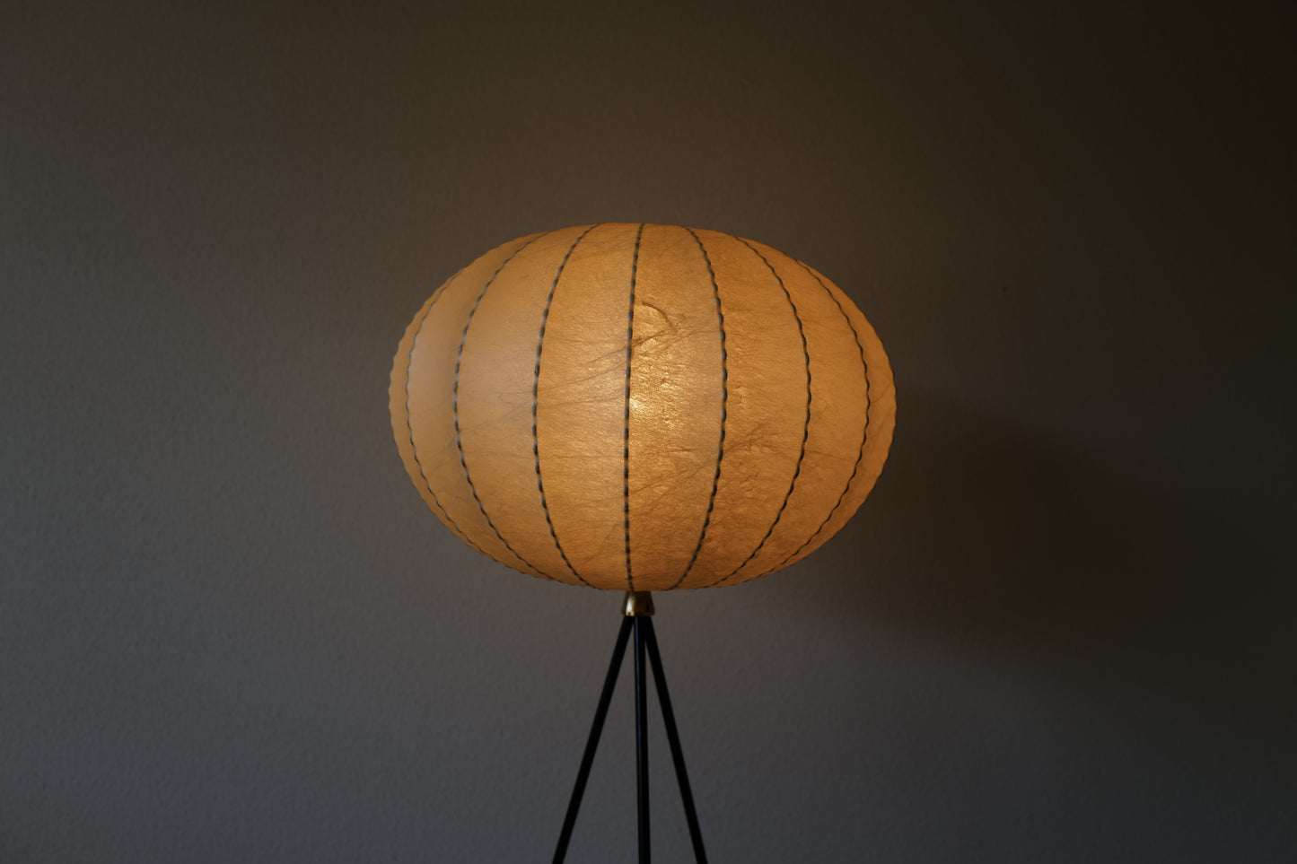 Cocoon Floor Lamp 1960s Germany