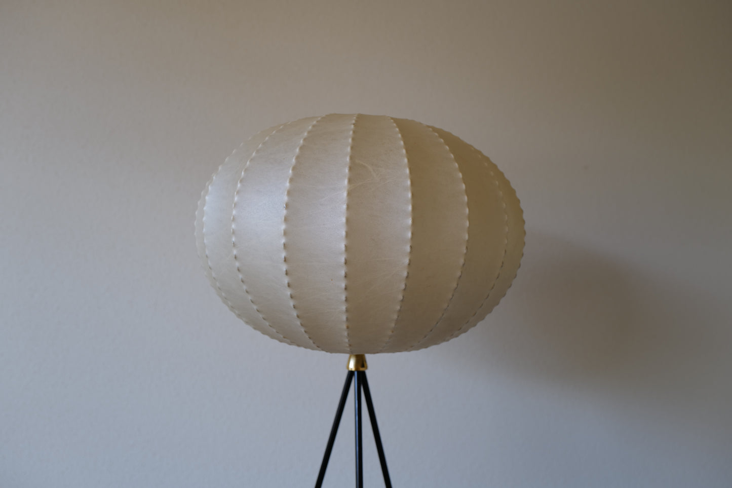 Cocoon Floor Lamp 1960s Germany