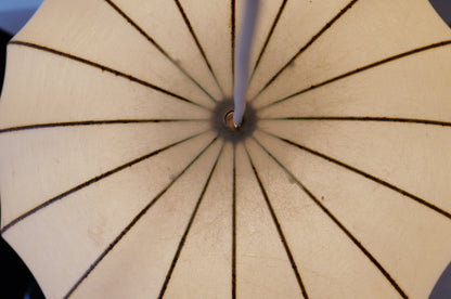 1960s Cocoon pendant lamp  XL   by Goldkant