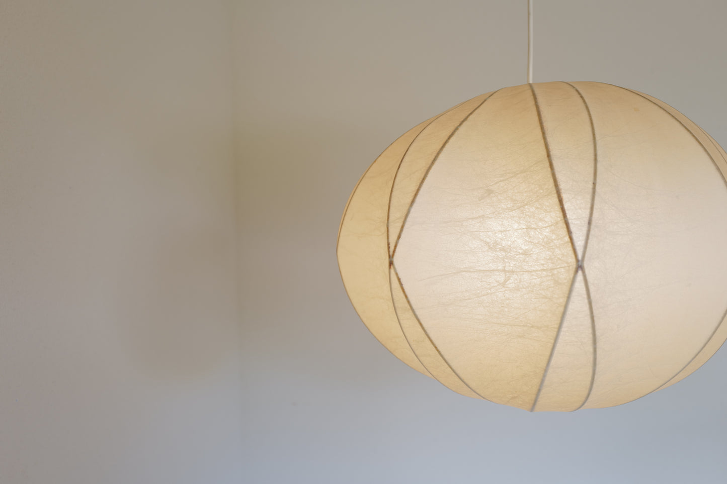 Cocoon Pendant  Lamp by Friedel Wauer for Goldkant 1970's