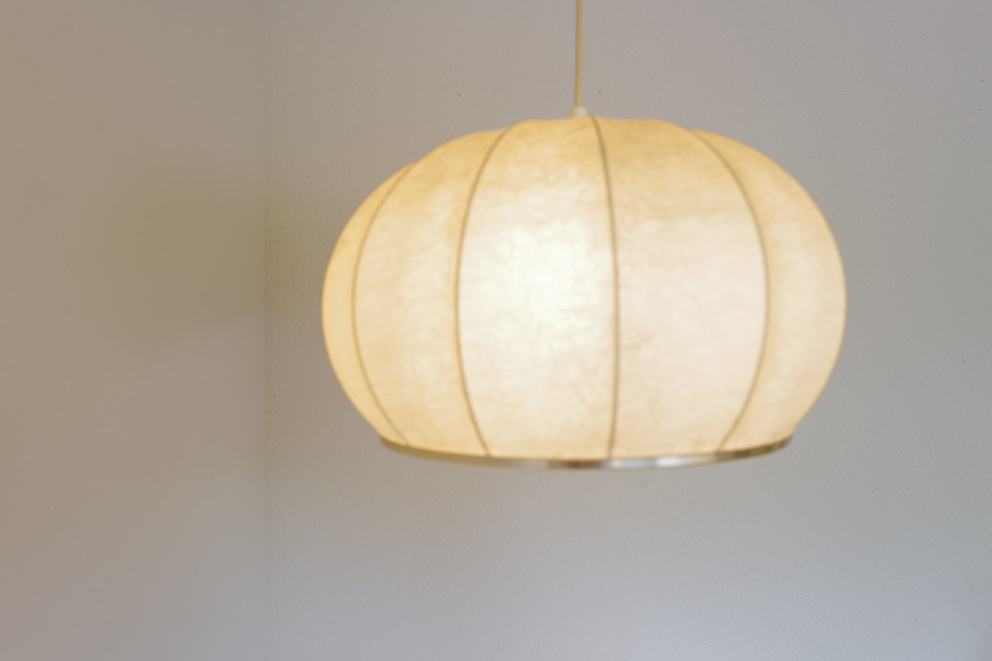 Cocoon Pendant Lamp by Friedel Wauer for Goldkant 1960's