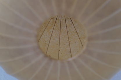 1960s Italy  cocoon pendant lamp  XL