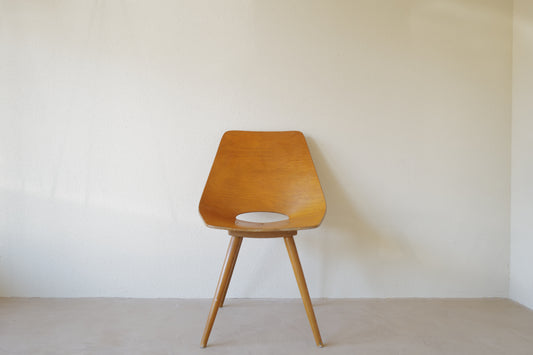 Pierre Guariche Tonneau chair ,ARP ,Amsterdam chair Bow-Wood legs 1954s