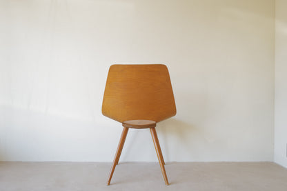 Pierre Guariche Tonneau chair ,ARP ,Amsterdam chair Bow-Wood legs 1954s