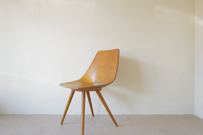 Pierre Guariche Tonneau chair ,ARP ,Amsterdam chair Bow-Wood legs 1954s