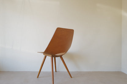 Pierre Guariche Tonneau chair ,ARP ,Amsterdam chair Bow-Wood legs 1954s