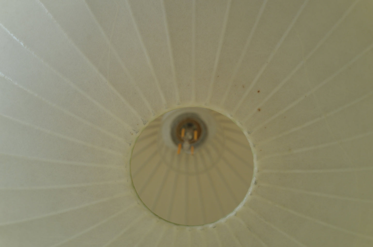 1960s cocoon pedant lamp  goldkant by Friedel WAUER