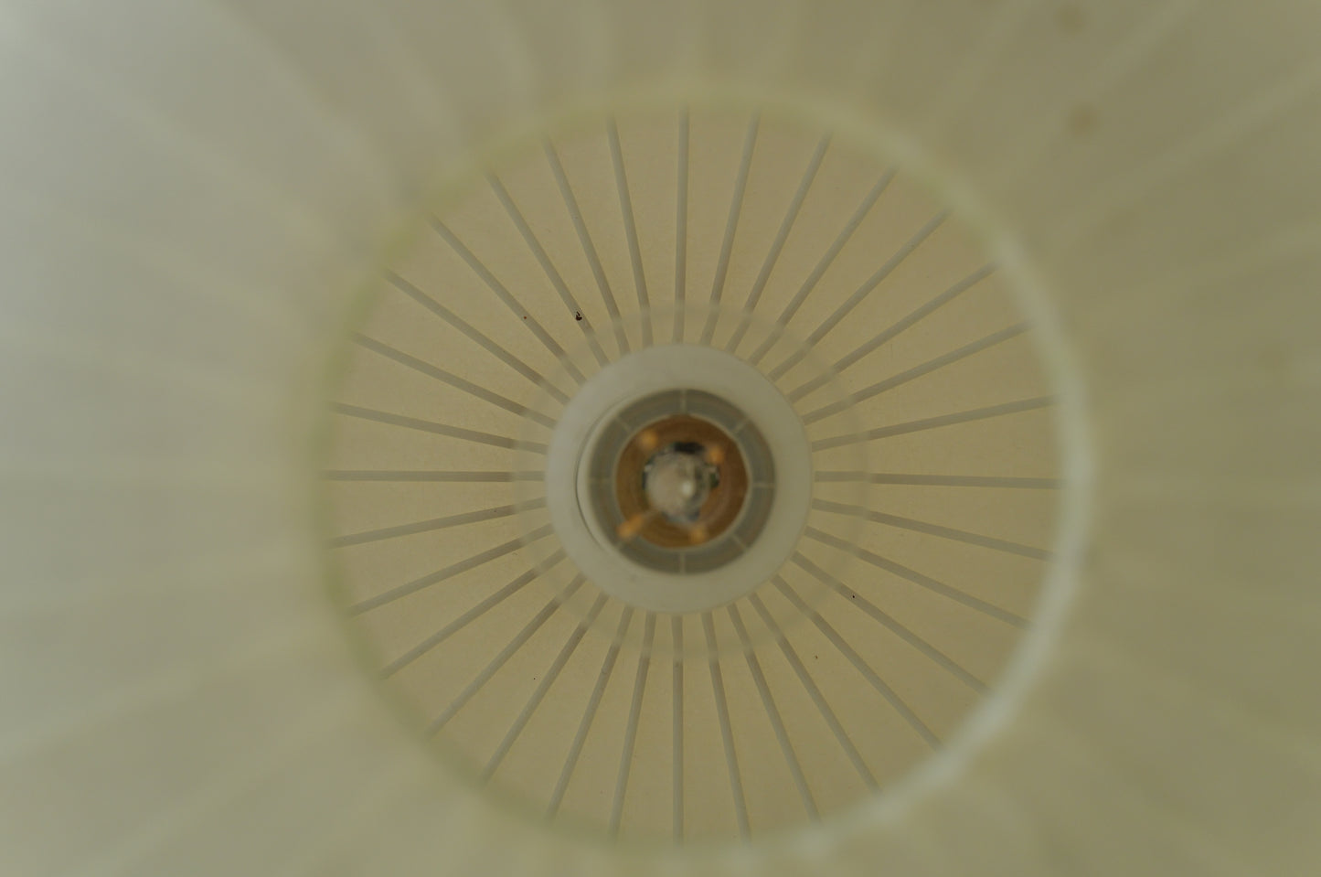 1960s cocoon pedant lamp  goldkant by Friedel WAUER