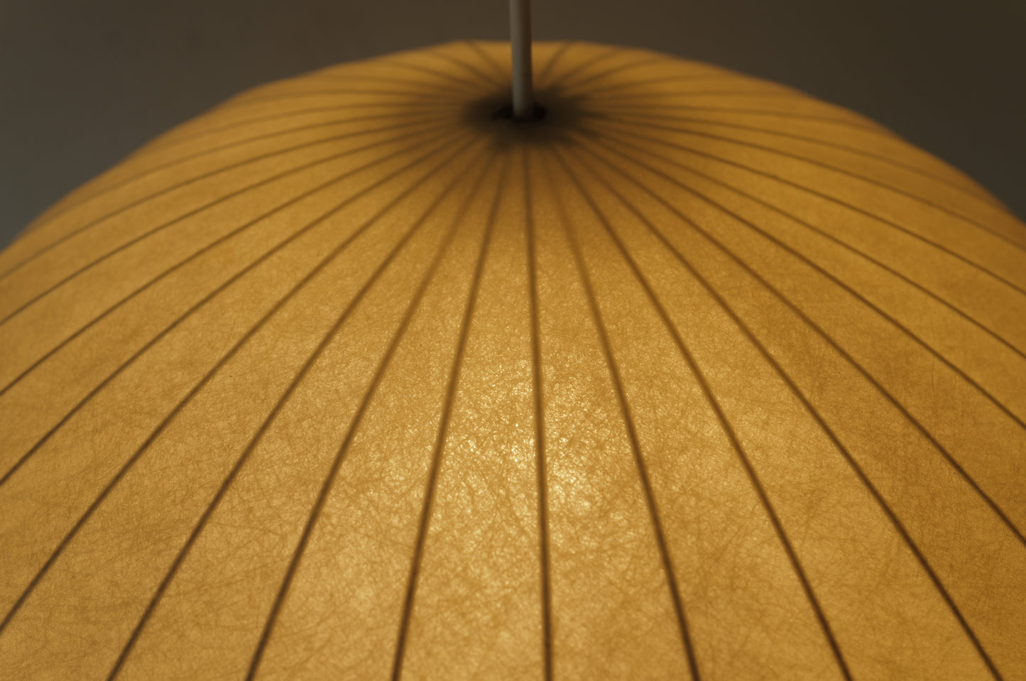 1960s cocoon pedant lamp  goldkant by Friedel WAUER