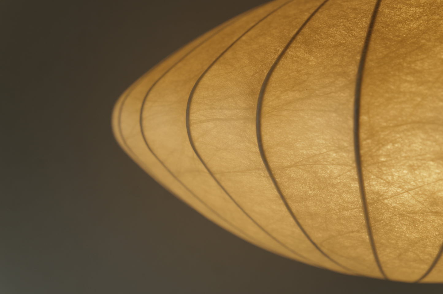 1960s cocoon pedant lamp  goldkant by Friedel WAUER