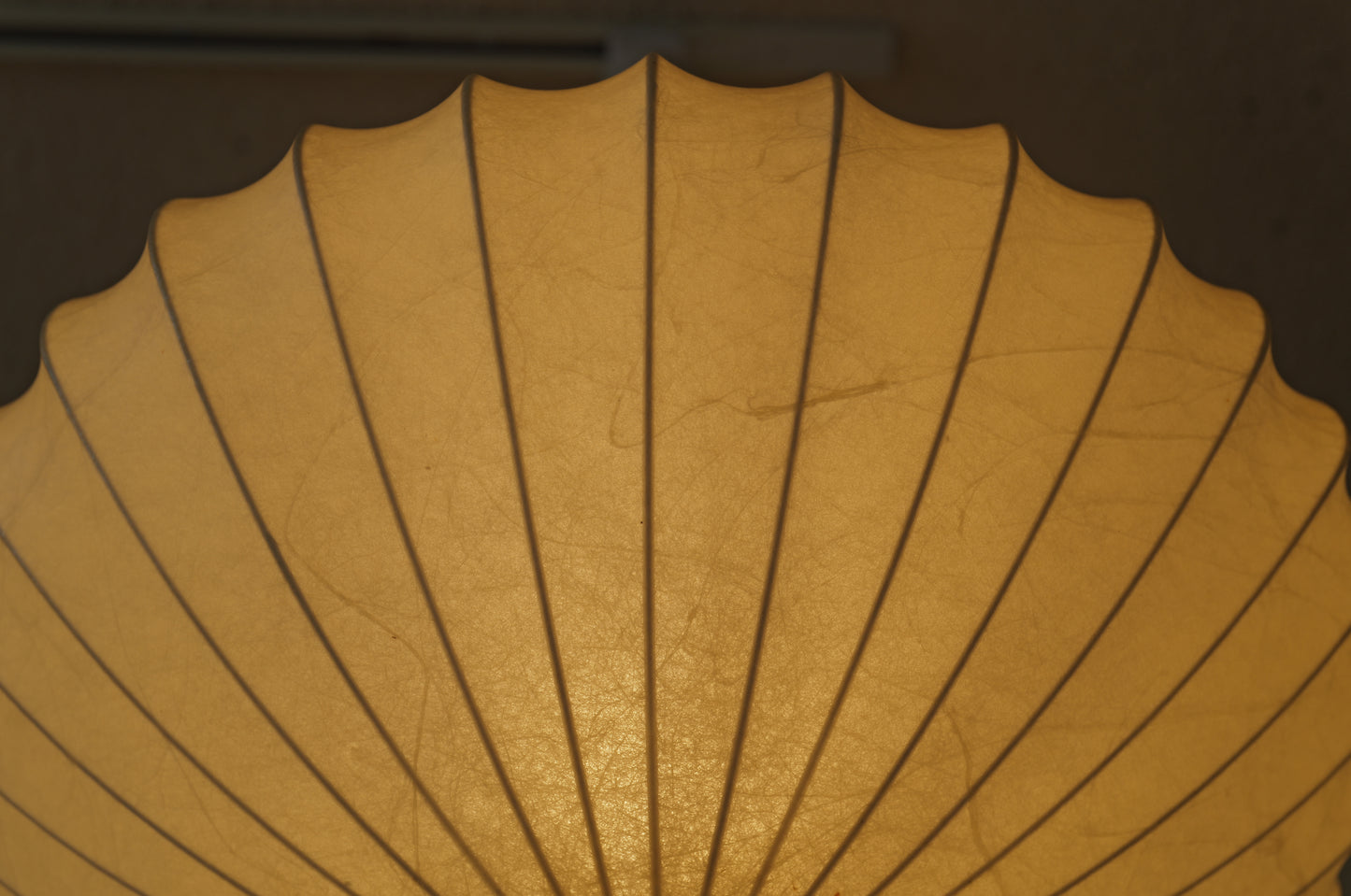 1960s cocoon pedant lamp  goldkant by Friedel WAUER