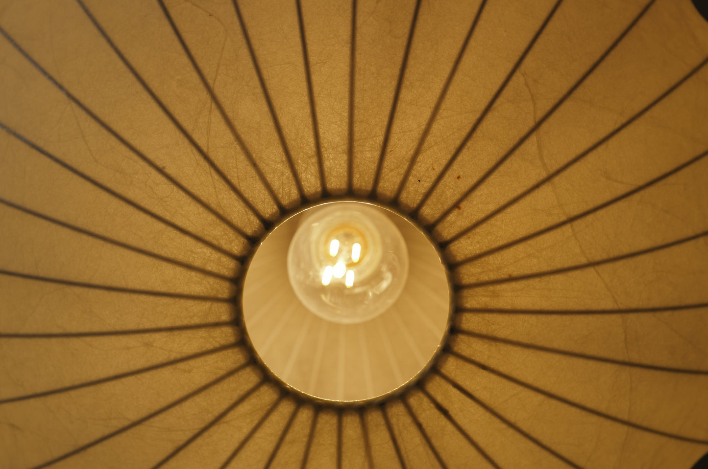 1960s cocoon pedant lamp  goldkant by Friedel WAUER