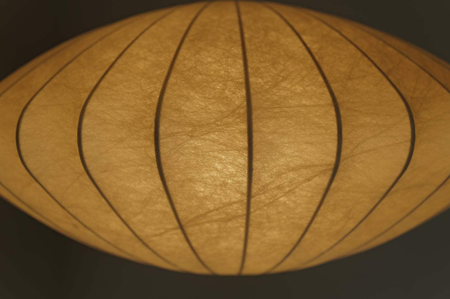 1960s cocoon pedant lamp  goldkant by Friedel WAUER