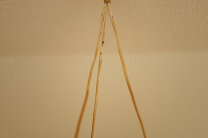 1950s cocoon cascade ceiling lamp with 3 shades