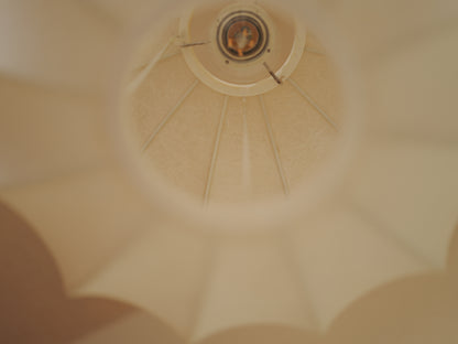 1960s cocoon pendant lamp  by Friedel Wauer