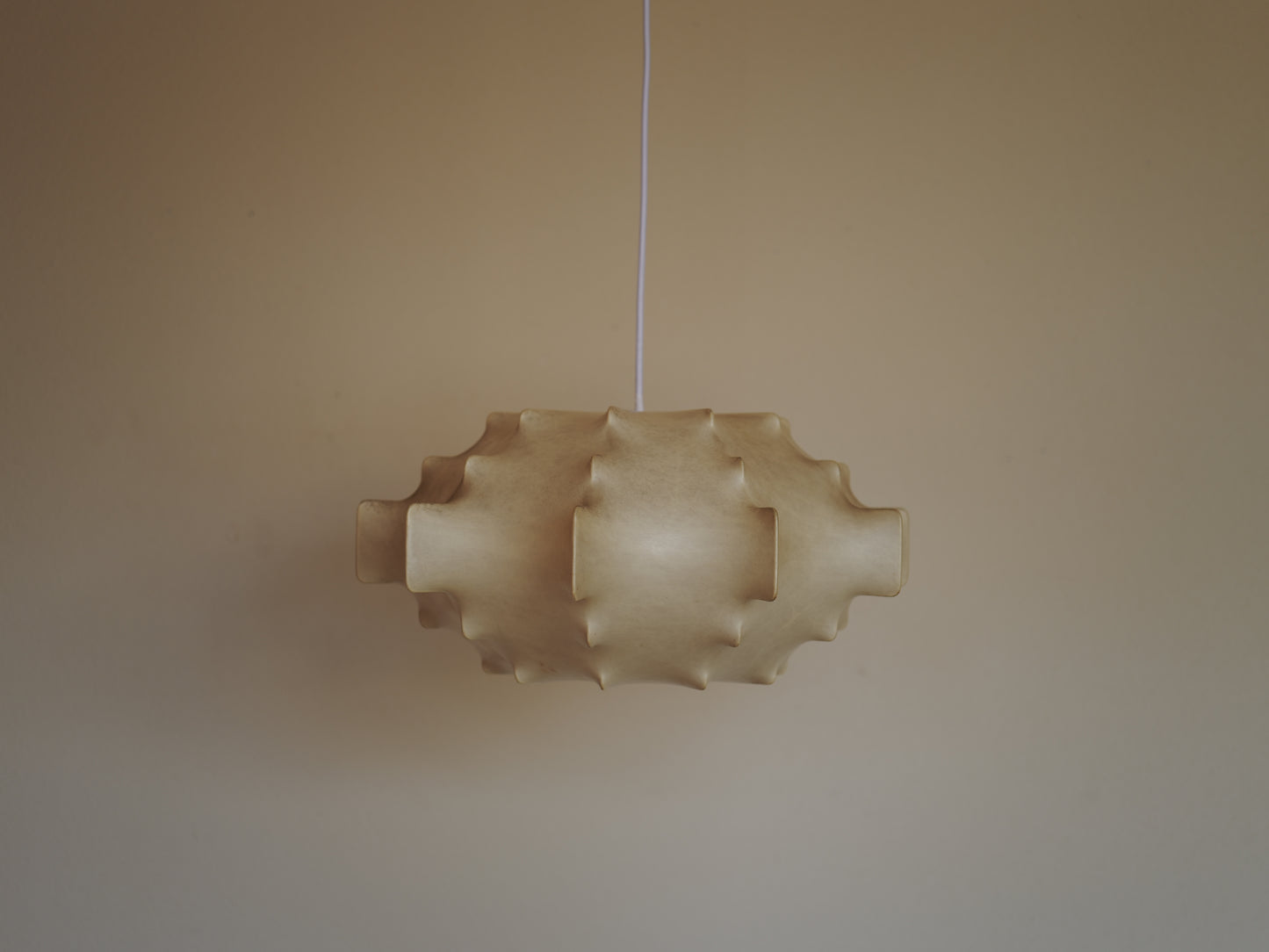 1960s cocoon pendant lamp  by Friedel Wauer