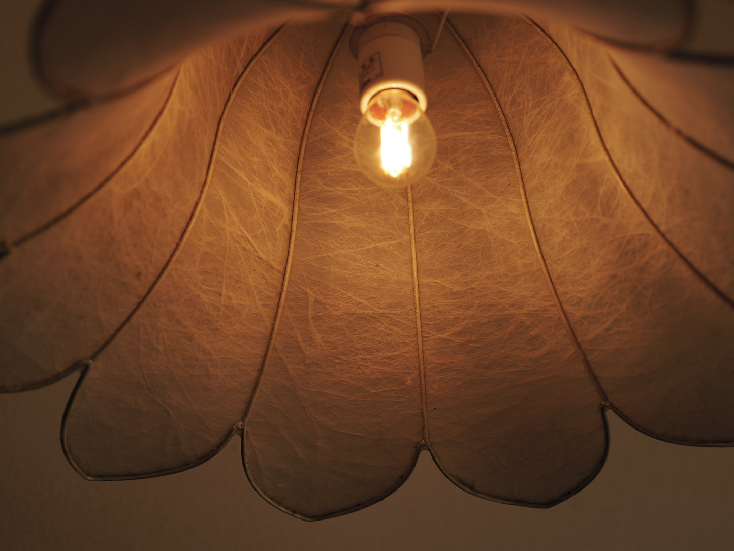 1960s flower cocoon pendant lamp by goldkant
