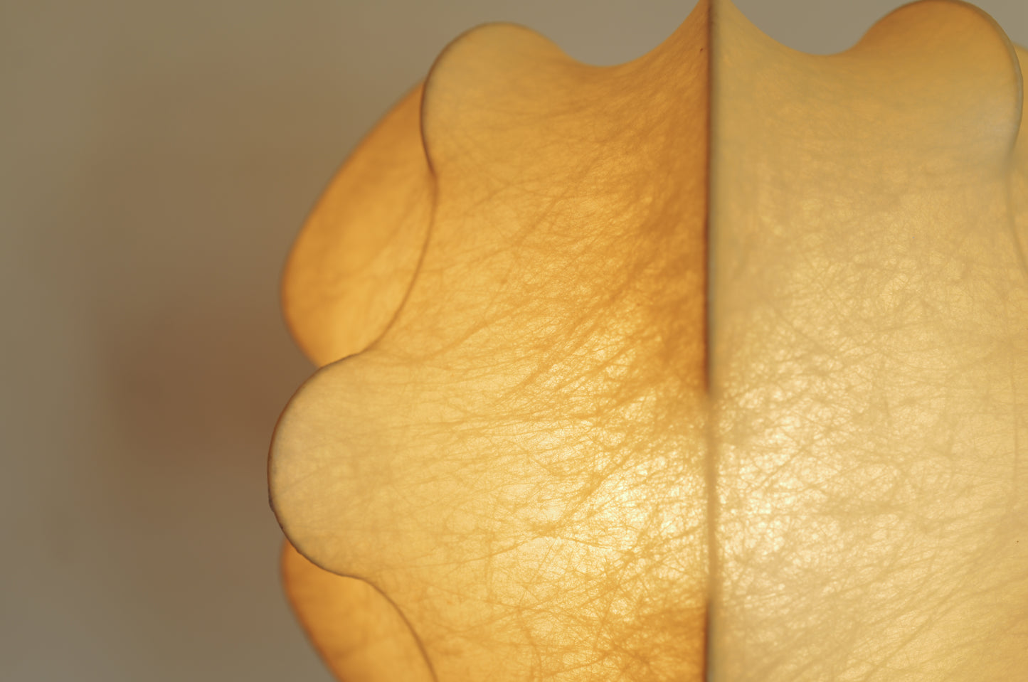 1960s COCOON Pendant Lamp "NUVOLA" series by TOBIA SCARPA