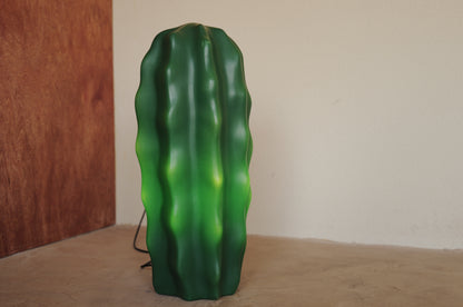 Sucu Cactus Floor Lamp by Art Nowo for Flötotto, 1980s ①