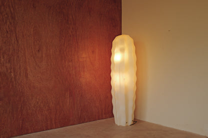 Sucu Cactus Floor Lamp by Art Nowo for Flötotto, 1980s ③