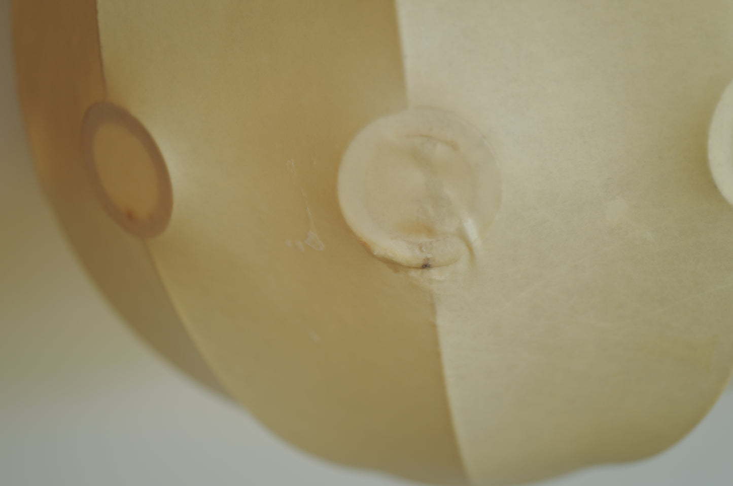 XXL  1960s cocoon pendant lamp by Friedel Wauer