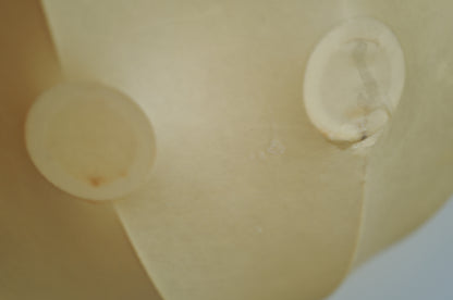 XXL  1960s cocoon pendant lamp by Friedel Wauer
