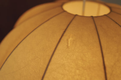 XXL  1960s cocoon pendant lamp by Friedel Wauer