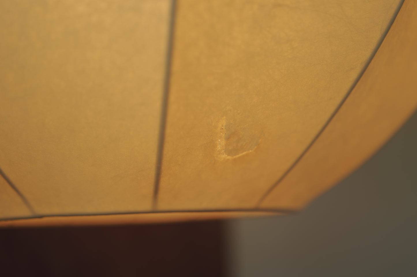 XXL  1960s cocoon pendant lamp by Friedel Wauer