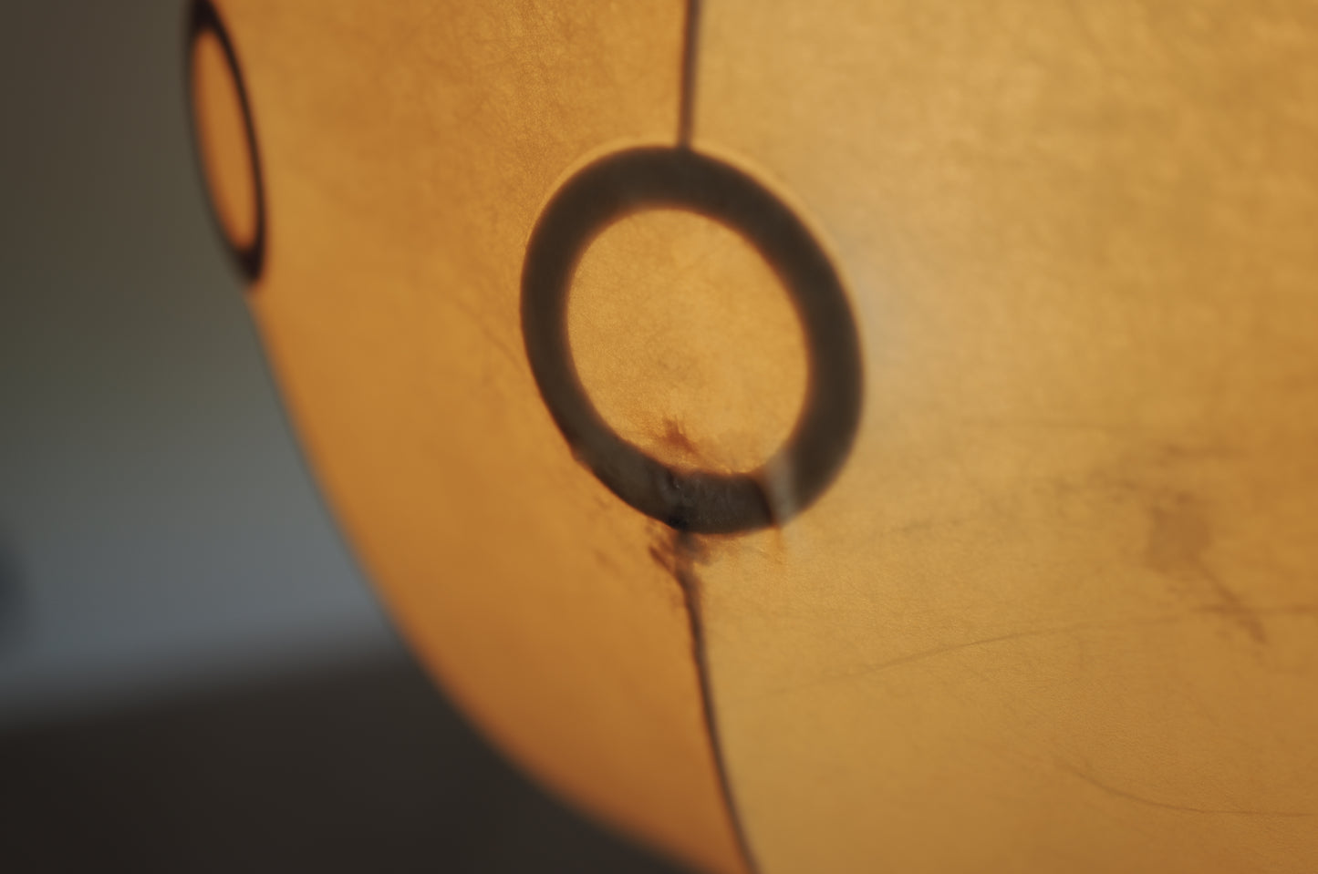 XXL  1960s cocoon pendant lamp by Friedel Wauer