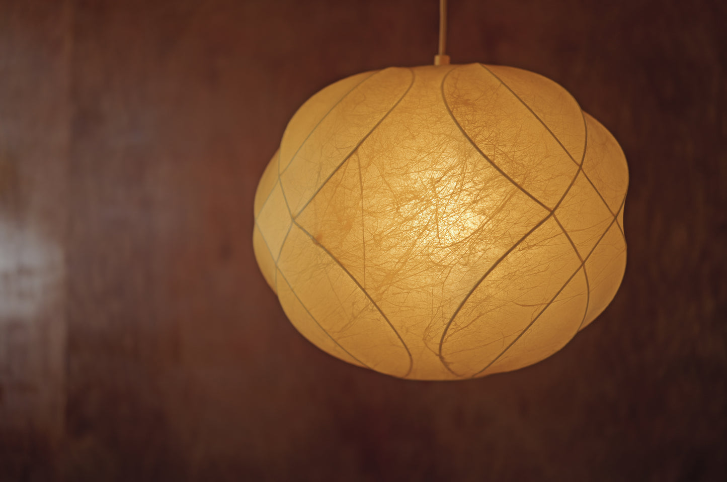 1960s cocoon pendant lamp  by Friedel Wauer