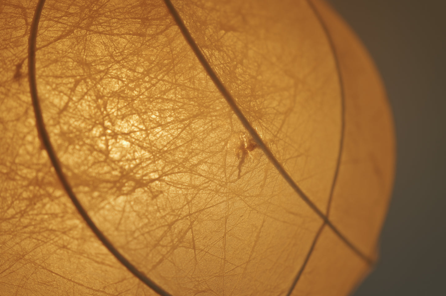 1960s cocoon pendant lamp  by Friedel Wauer