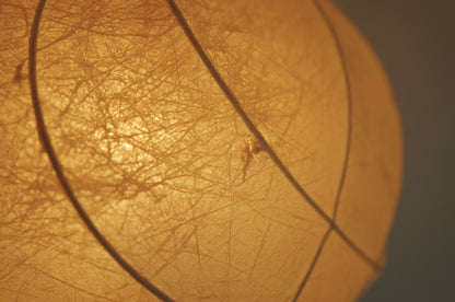 1960s cocoon pendant lamp  by Friedel Wauer