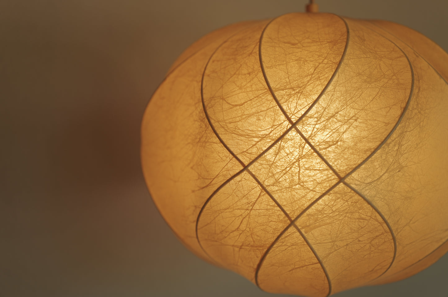 1960s cocoon pendant lamp  by Friedel Wauer