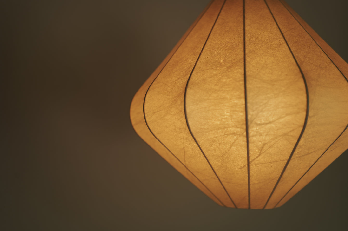 1960s cocoon pendant lamp  by goldkant