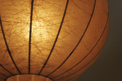 1960s cocoon pendant lamp in Italy