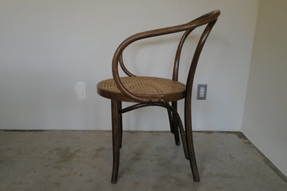 209 Arm Chair for THONET 1950s~1960s ZPM RADOSKO Poland